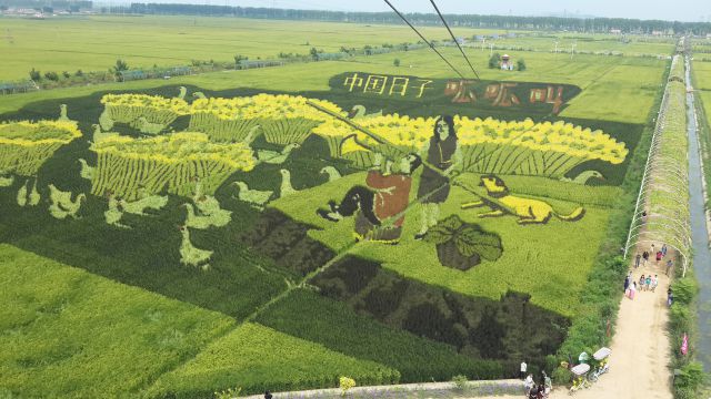 稻夢空間-圖片來源編輯網(wǎng)